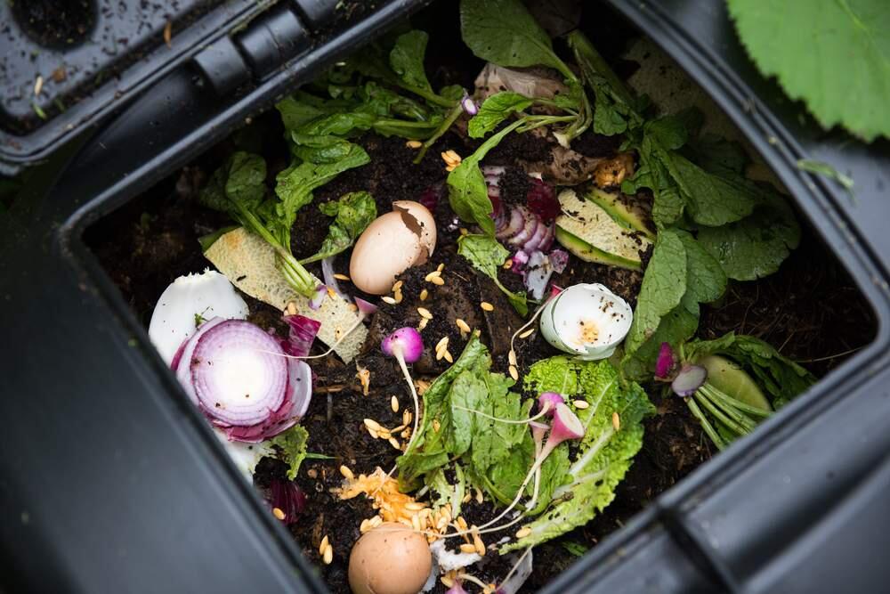 Vegetables, leftovers and other organic waste in a compost bin.