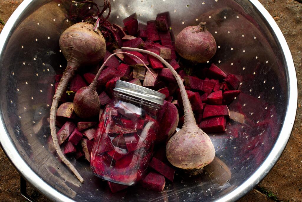 Fermentation workshop students learned to make simple beet kvass, a traditional beverage from the Ukraine.