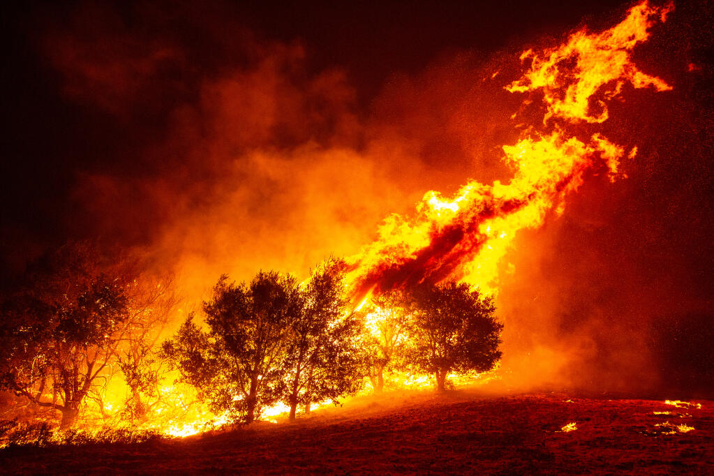 Gusty winds whip up flames rising from a thicket after a back burn was set to protect homes along Rinaldo Drive from the Shady Fire in Santa Rosa, California, on Monday, September 28, 2020. (Alvin A.H. Jornada / The Press Democrat)