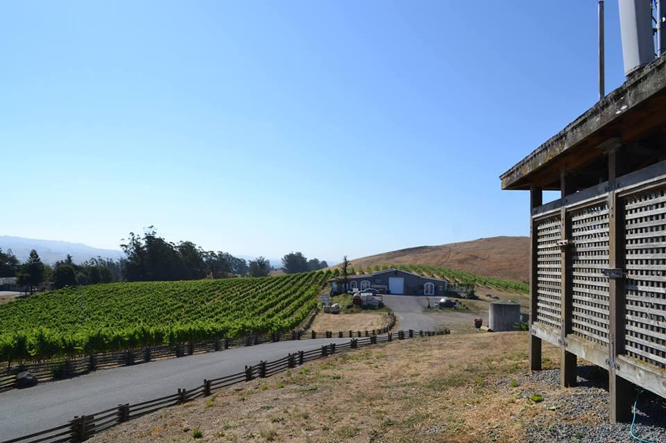 The location of Karah Estate Vineyards is the former site of Christo’s Running Fence. Photo courtesy Karah Estate Vineyards Facebook.
