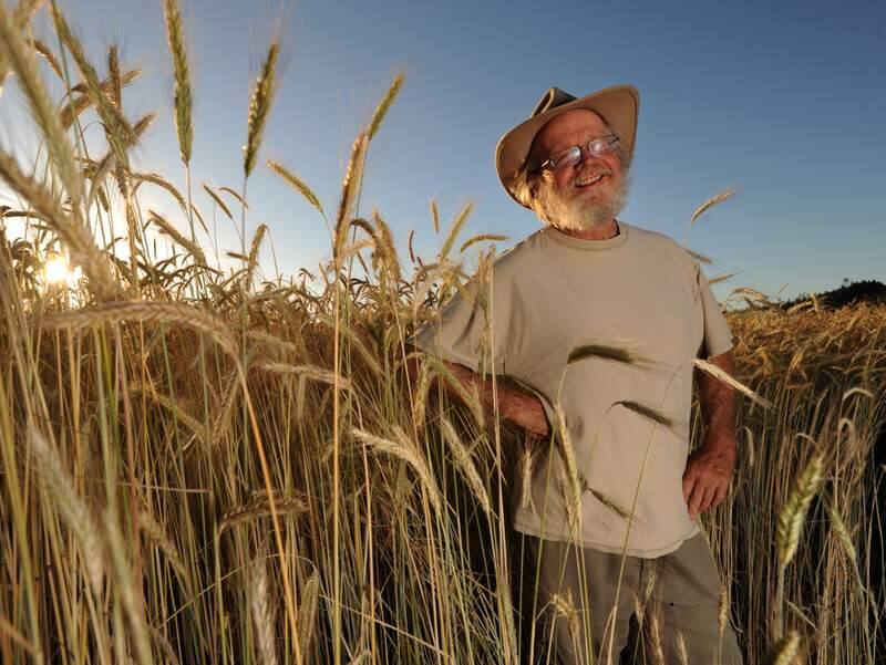 Biodynamic farmer Lou Preston in a field of rye on his 125-acre farm in Healdsburg in the Dry Creek Vallley. Monday June 14, 2010.