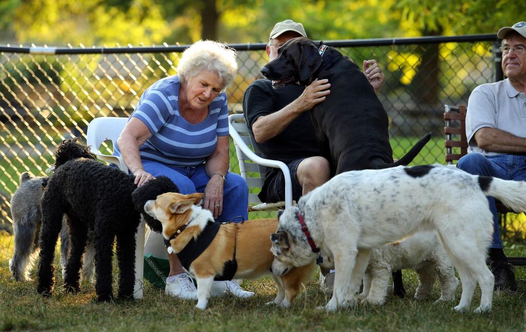 Best of Sonoma: Dog park, Rincon Valley Community Park. (JOHN BURGESS / The Press Democrat)