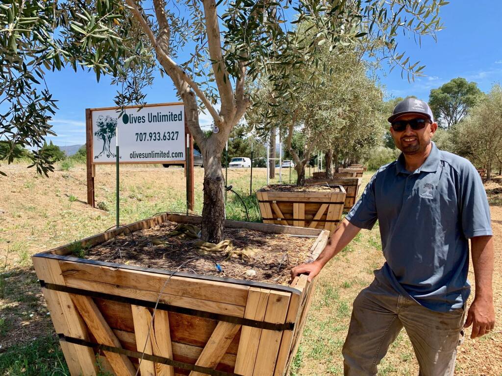 Jordan Ruis of Olives Unlimited may be familiar to some from his other business, Green Giant Landscape.