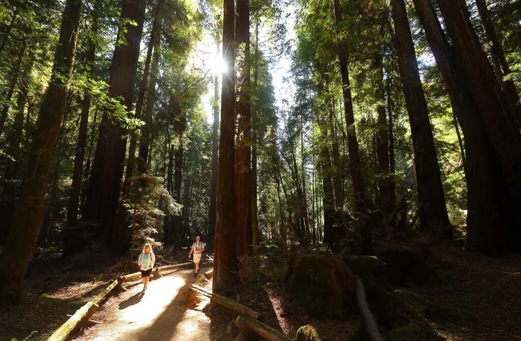 Sonoma County is home to many famous state parks, including Armstrong Woods and Annadel. (Christopher Chung/PD File)