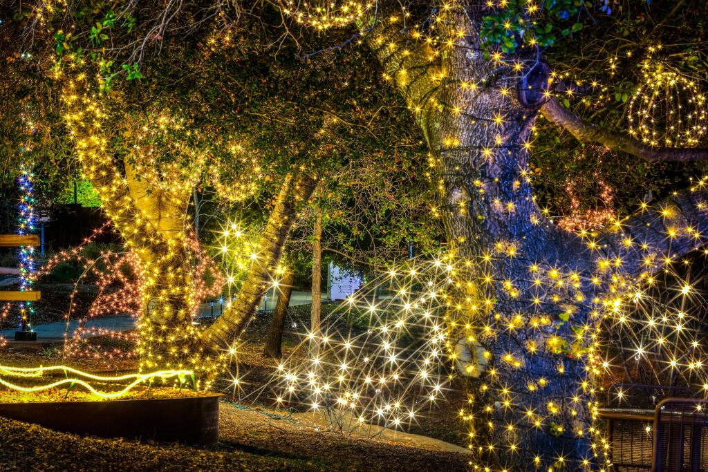 “Northern Lights,” a special holiday lighting display, offers visitors a colorful walk through the Luther Burbank Center for the Arts sculpture garden. (Will Bucquoy / For The Press Democrat)