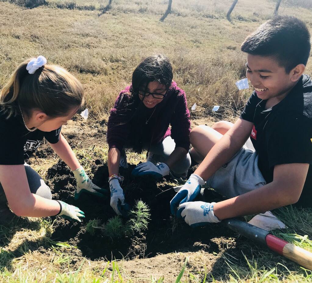 Students putting in plants at Shollenberger Park in February, 2020. (LISHKA ARATA)