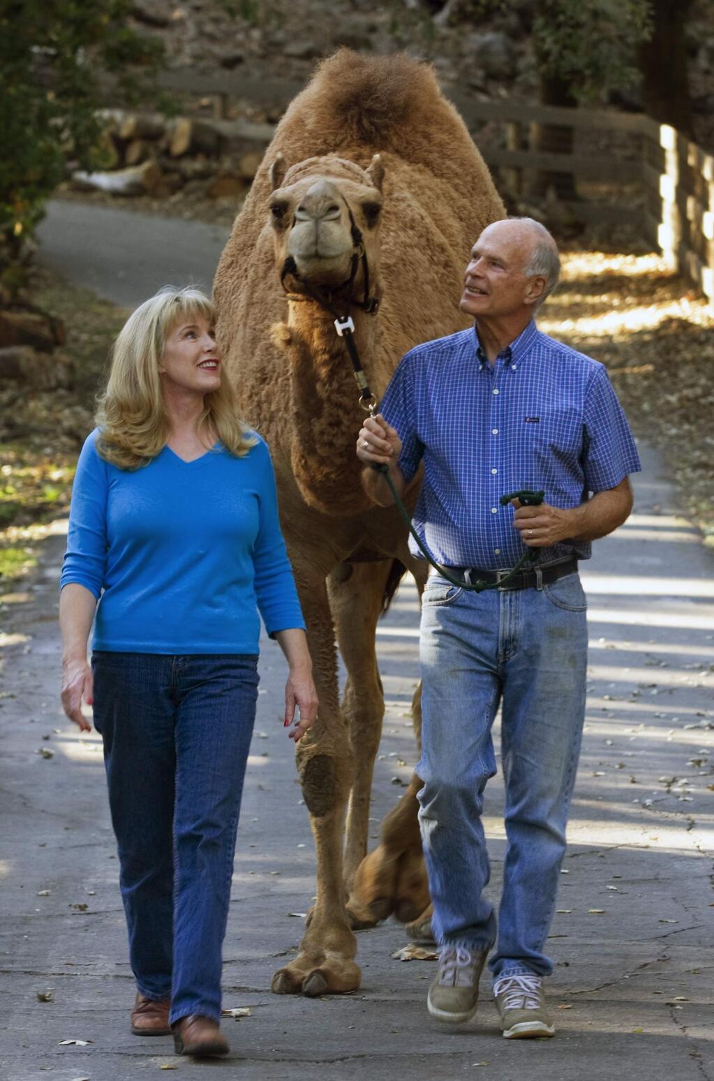 Robin and Rob Lyon take Hump-Free for a walk at the Lyon Ranch. Just over a month ago, the sweet, gentle camel known as Hump-Free died suddenly after an unidentified person fed him a toxic plant, most likely oleander or yew. Hump-free, who lived at the Lyon Ranch for fourteen years, became one of their best-known and loved “therapy animals.” He was highly visible at local events and parades and anywhere the Lyons took their extensive menagerie to bring a little joy into the lives of those whose mobility, whether through illness or age, wouldn't allow them to travel. (File photos by Robbi Pengelly/Index-Tribune)
