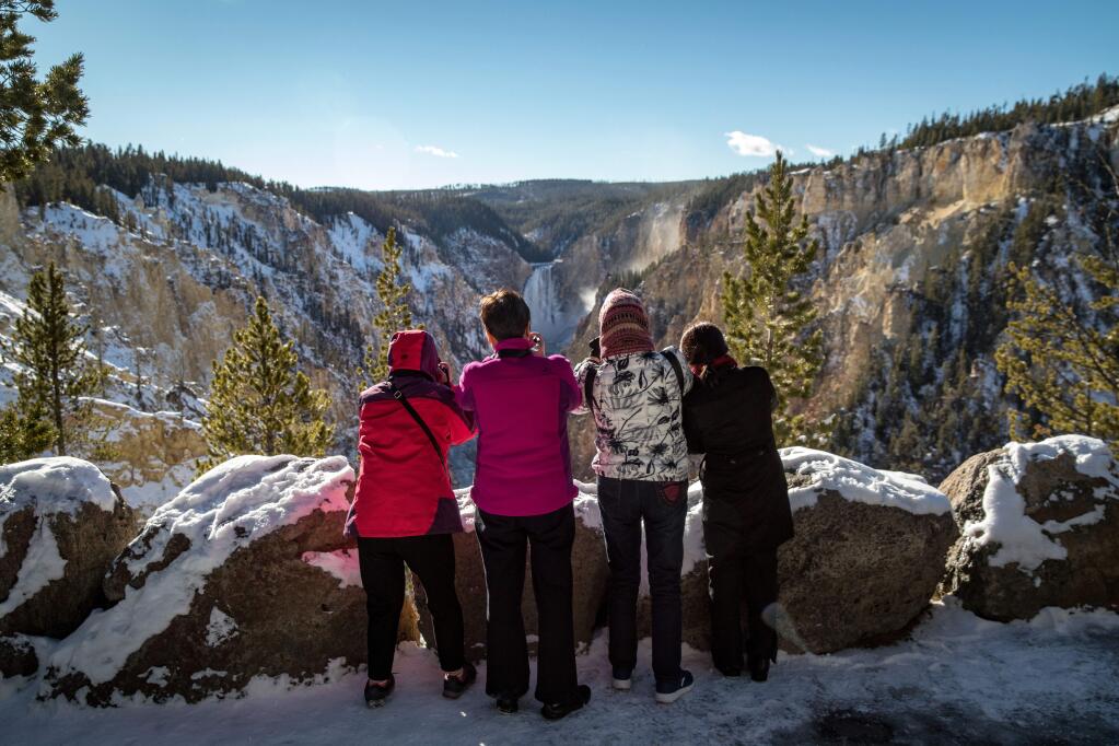 Visitors take in the view of Lower Yellowstone Falls in Yellowstone National Park on Oct 15. (JOSH HANER / new York Times)