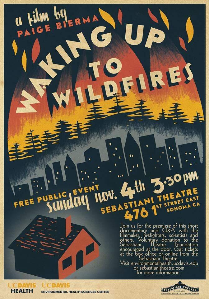 The fire film poster.