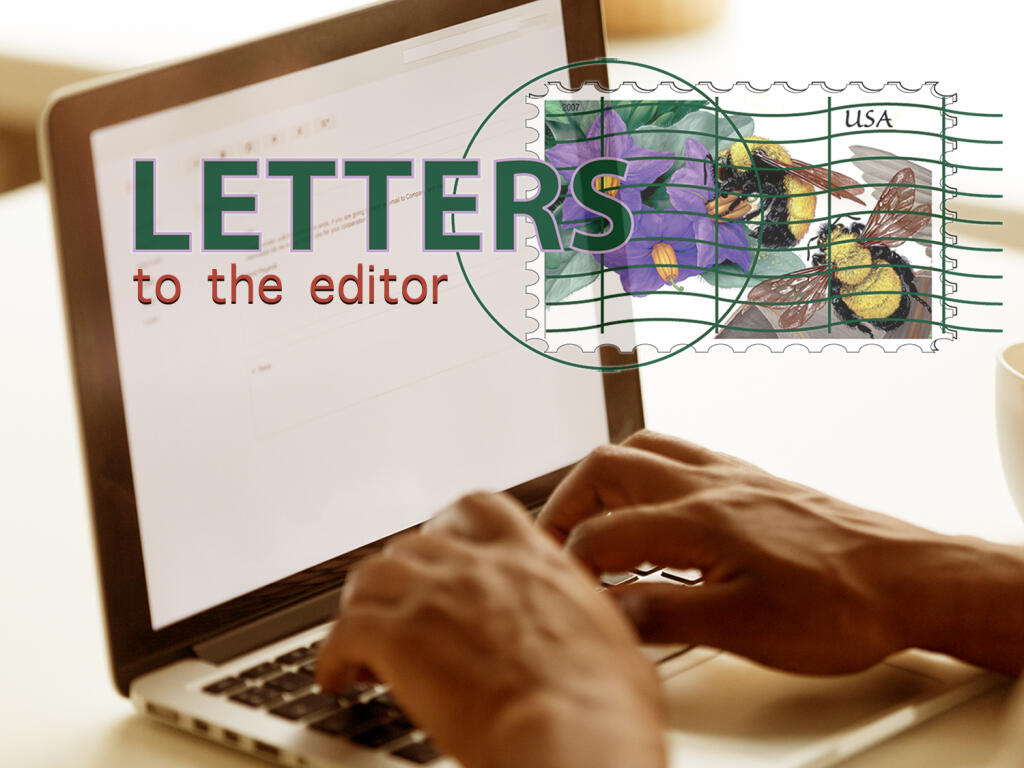 Comment on an online article or send your letter to the editor, Amie Windsor