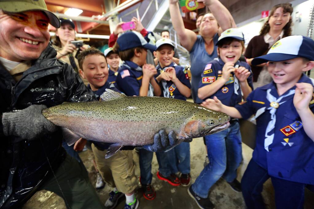 Danny Garcia, left, holds a squirming Steelhead trout for Troop 192 of Napa at the 2016 Lake Sonoma Steelhead Festival at the Milt Brandt Visitors Center on Saturday. (JOHN BURGESS / The Press Democrat)