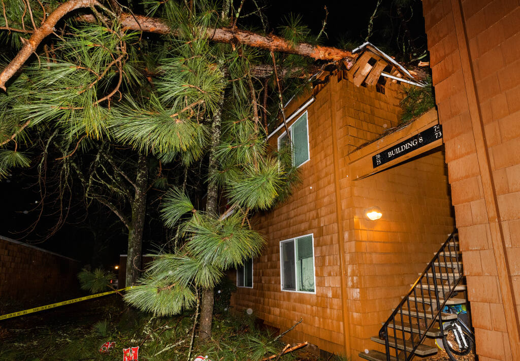 A fallen tree damaged the roof of an apartment in the 6000 block of Montecito Ave. in Santa Rosa January 4, 2023.    (John Burgess/The Press Democrat)