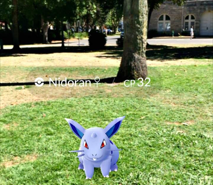 The mischevious Nidoran was spotted recently soaking up history near Sonoma City Hall.
