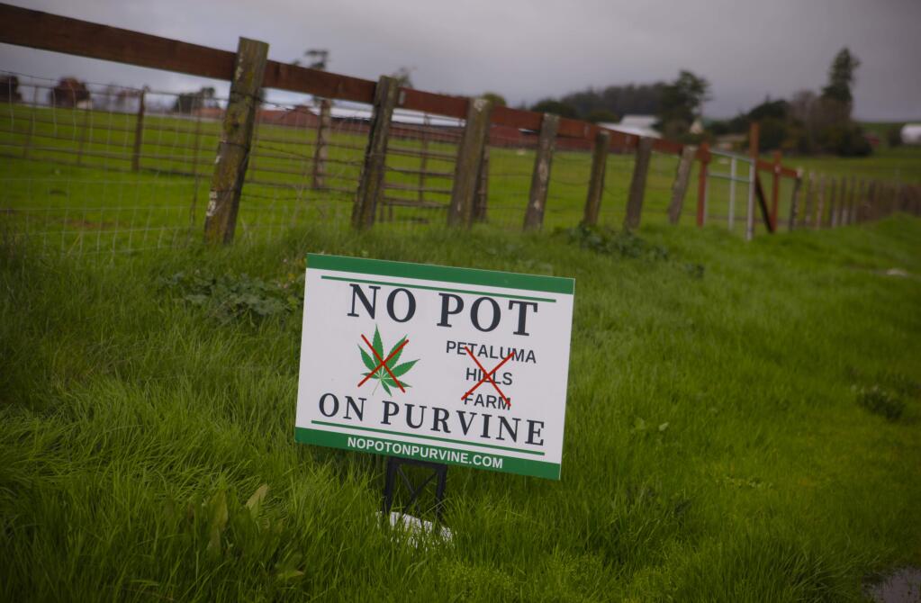 Petaluma, CA, USA. Tuesday, January 09, 2018._ Neighbors on Purvine Road display their disapproval of a proposed pot farm. (CRISSY PASCUAL/ARGUS-COURIER STAFF)