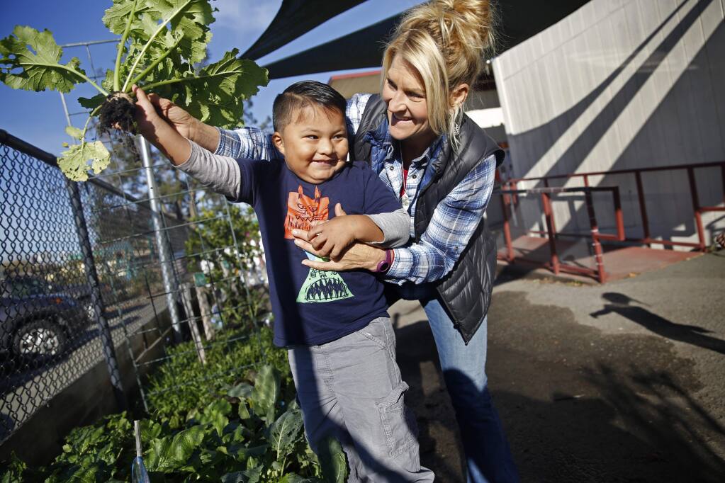 Lisa Bianchi, Garden and Nutrition Coordinator, helps Josue Rodriguez, 4, pick a turnip in the vegetable garden at the North Bay Children's Center on the McDowell Elementary School campus on Tuesday, December 1, 2015 in Petaluma, California . (BETH SCHLANKER/ The Press Democrat)