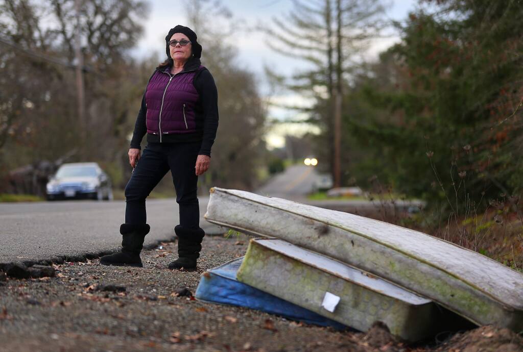 Ellen Gaddis, co-owner of Gaddis Nursery, Inc., says people dump furniture and other large objects along the front of her Piner Road business every one to two months.(Christopher Chung/ The Press Democrat)