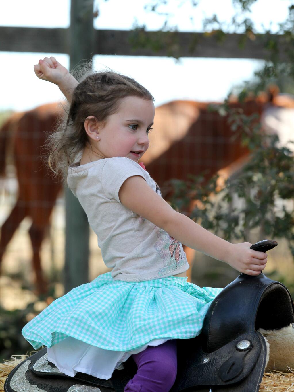 Remi Rightsell, 4, of Santa Rosa, plays on a saddle at The Pony Express Equine Assisted Skills for Youth's 2018 12th Annual Horse Show/Fundraiser in Santa Rosa, on Sunday, November 4, 2018. (Photo by Darryl Bush / For The Press Democrat)