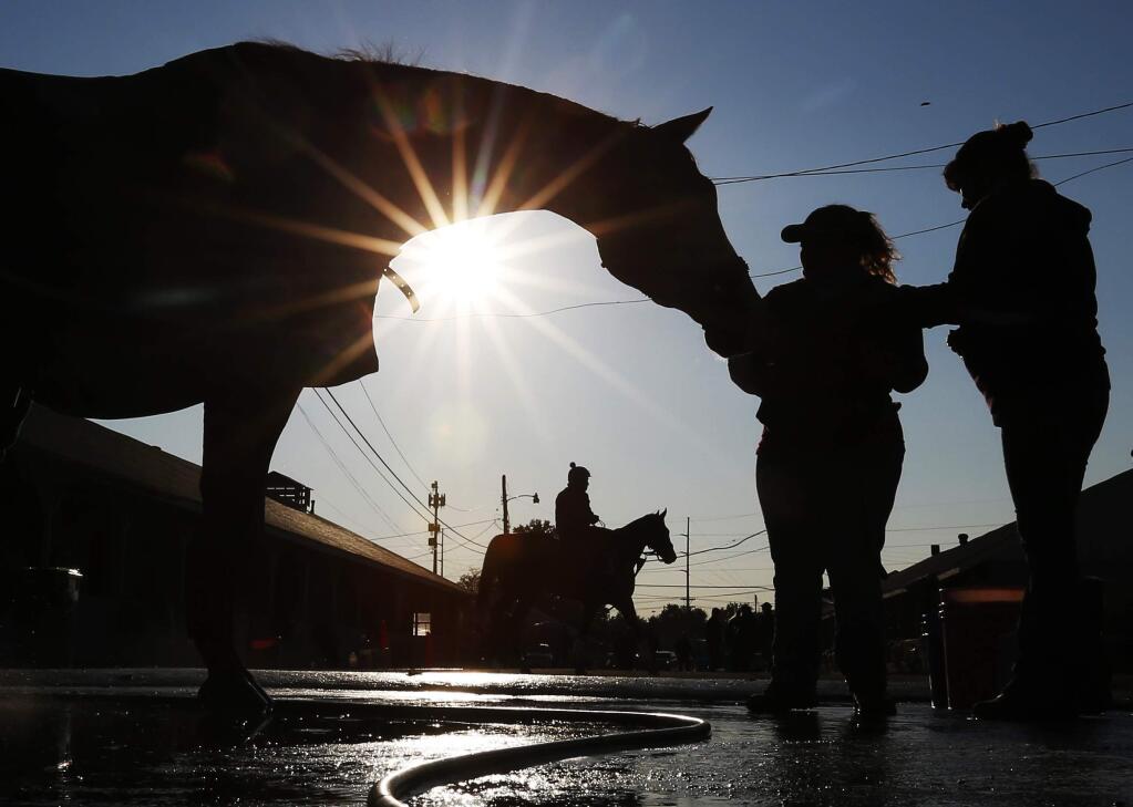 A horse gets a bath after a morning workout at Churchill Downs before the Kentucky Derby Friday, May 1, 2015, in Louisville, Ky. (AP Photo/Charlie Riedel)