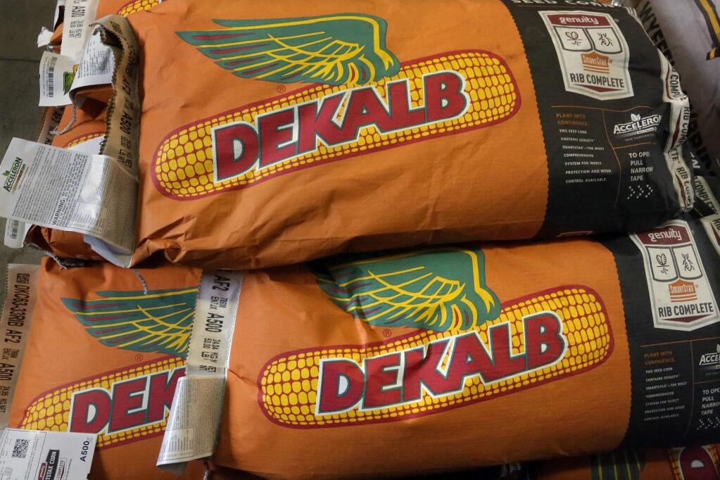 FILE - In this Tuesday, April 15, 2014, file photo, bags of Dekalb corn seed, a Monsanto brand, lie stacked and ready for planting, in Auburn, Ill. German drug and chemicals company Bayer AG announced Monday, May 23, 2016, that it has made a $62 billion offer to buy U.S.-based crops and seeds specialist Monsanto. A merger between Bayer and Monsanto would put together two giant makers of chemicals, one that focuses on people and animals, and another that focuses on plants. (AP Photo/Seth Perlman, File)