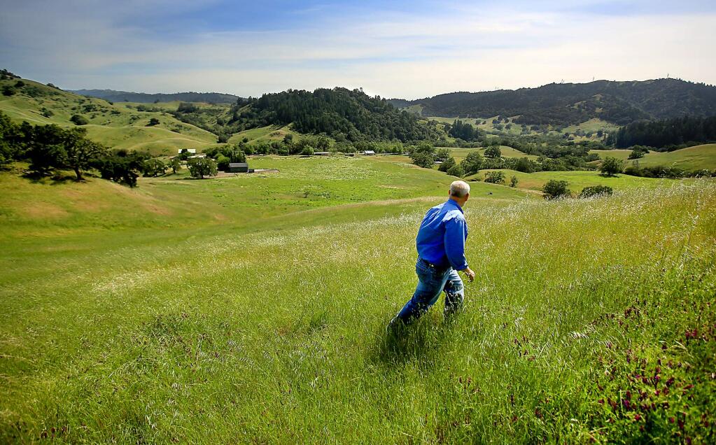 Will Densberger, an agent with with Pacific Union Christies International, walks an overlook at the Santa Angelina Ranch in Knights Valley, Monday May 2, 2016. The 8,000 acre cattle ranch has a 3,288-square foot main house, other residences, a swimming pool and helicopter hangar which owned by the decendents of the late Henry A. and Doris McMicking. (Kent Porter / Press Democrat) 2016