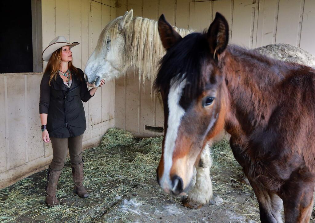 Leslie Webb with her two remaining horses at her Sebastopol home. The Sonoma County Sheriff's Office is investigating the death of her dog and another of her horses after she found baked cookies for horses of oats, carrots, apples and oleander in her field. (JOHN BURGESS/ PD)