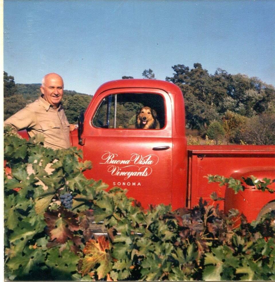 Frank Bartholomew brought one of Sonoma Valleyís oldest wineries, the one started by Agoston Haraszthy, back to life when he and his wife, Antonia, purchased it in the 1940s.