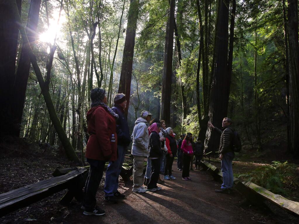 Stewards of the Coast and Redwoods volunteer Glen Blackley, right, leads a group hike on a New Year's Day tour of Armstrong Woods State Natural Reserve, on Sunday, January 1, 2017. (Christopher Chung/ The Press Democrat)