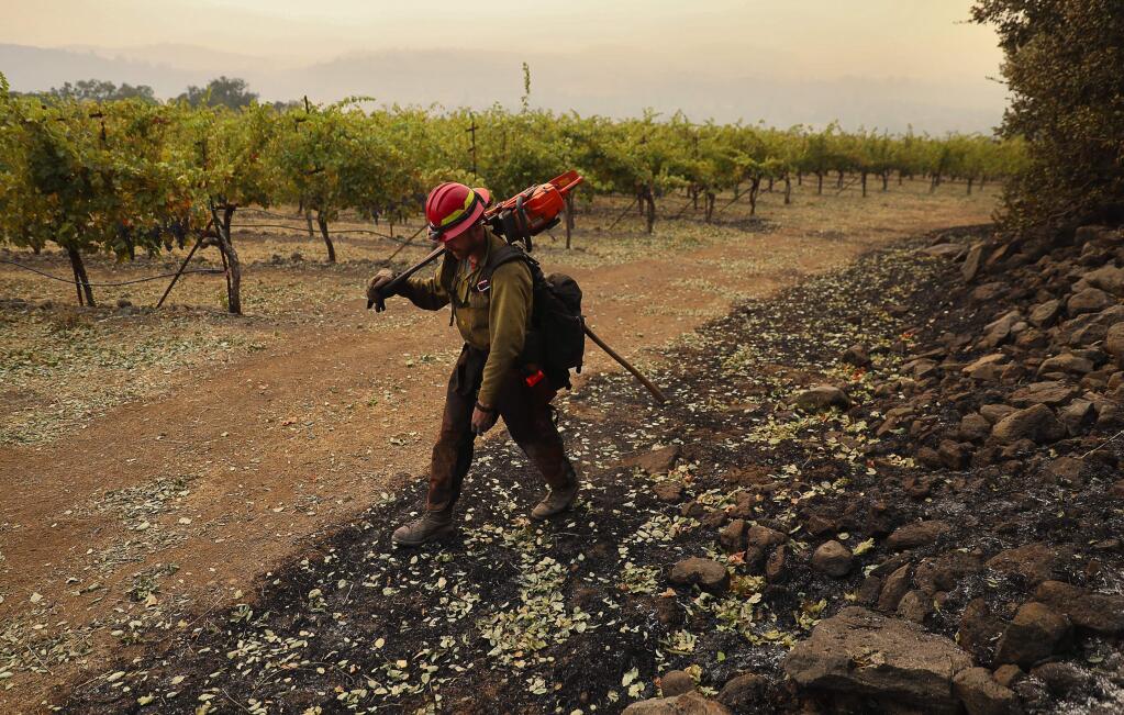 PatRick Corp. firefighter Josh Korczak checks for any signs of heat from a burned area next to a block of cabernet vines at Kunde Family Winery, in Kenwood on Monday, October 16, 2017. (Christopher Chung/ The Press Democrat)