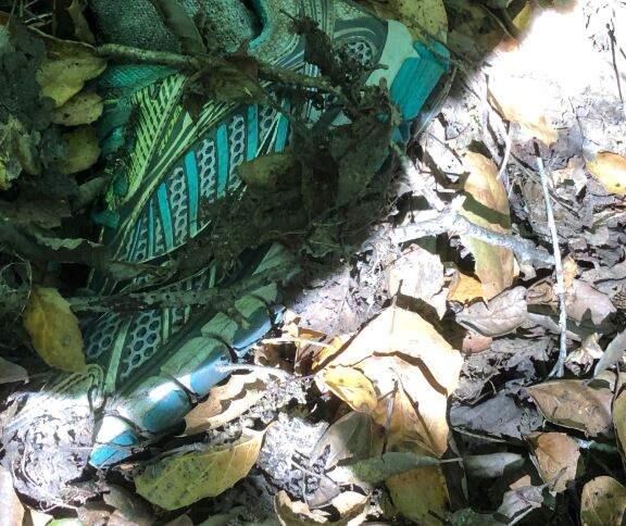 A shoe found amid sketetal remains discovered in April near a creek east of Windsor. (National Missing and Unidentified Persons System)