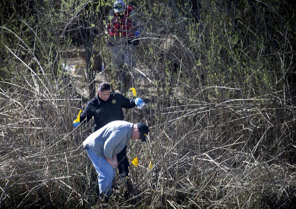 Yolo County investigators place flags at the Yolo County slough where the lifeless body of an infant was discovered in Knights Landing, Calif., Wednesday, Feb. 25, 2015. (AP Photo/The Sacramento Bee, Hector Amezcua)