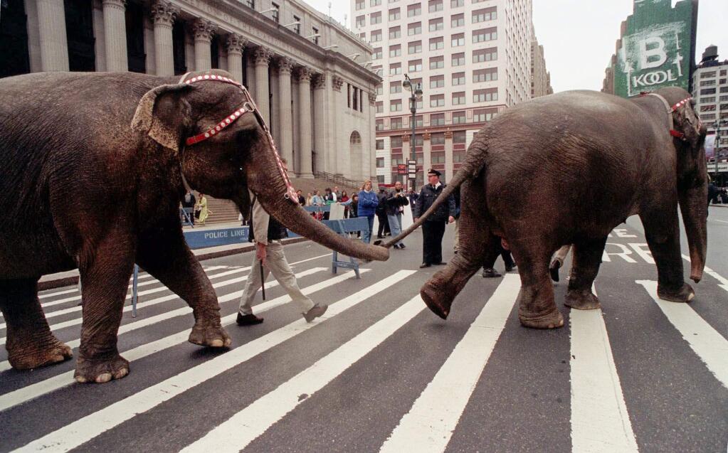 FILE - In this April 9, 1999 file photo, a pair of Ringling Brothers and Barnum and Bailey Circus elephants cross Eighth Avenue in front of the Main Post Office in New York. The circus will phase out the show's iconic elephants from its performances by 2018, telling The Associated Press exclusively on Thursday, March 5, 2015 that growing public concern about how the animals are treated led to the decision.(AP Photo/Lynsey Addario)