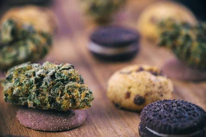 Cannabis nugs over infused chocolate chips cookies - medical marijuana edibles concept (Shutterstock)