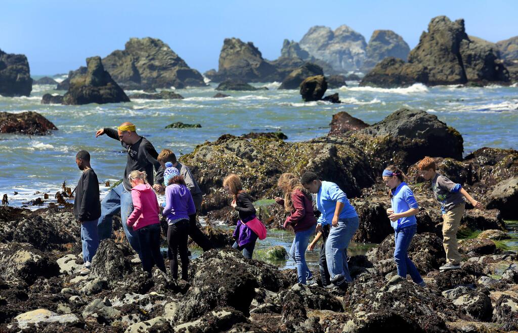 Students from Heron School in Sacramento explore the tide pools at Shell Beach on Wednesday afternoon. The California Coastal Commission will decide whether to impose a day use fee on more than a dozen coastal beaches including Shell Beach. (Photo by John Burgess)