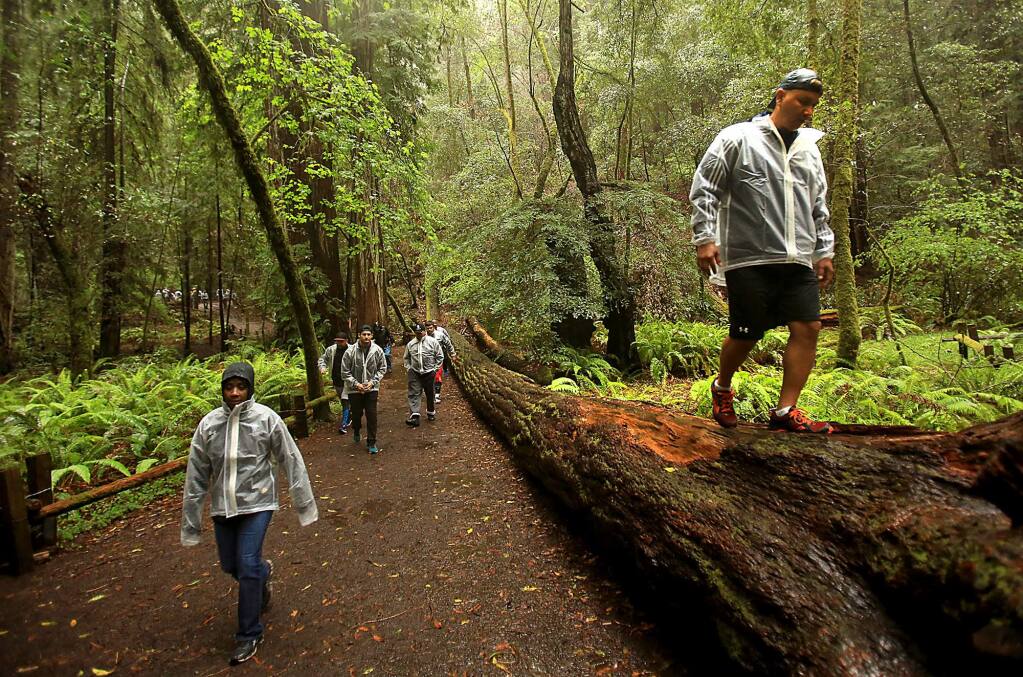 Hiking among the redwoods. If you're in Sonoma County, there is always a redwood forest nearby. A few choices include Armstrong Redwoods State Natural Reserve, Austin Creek State Recreation Area and Sonoma Coast State Park. (Kent Porter / Press Democrat )