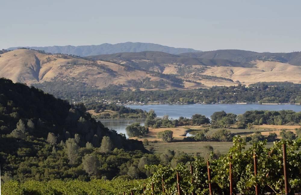 Vineyard above Clearlake in Lake County. (Terry W Ryder / Shutterstock)