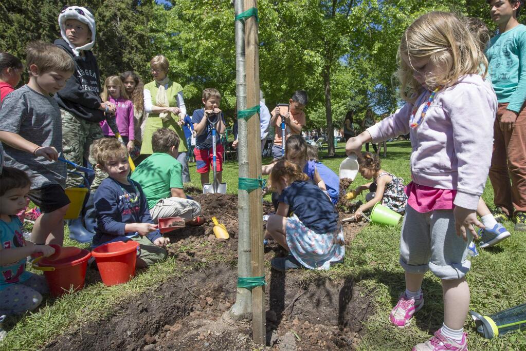 Students from the Crescent Montessori School helped plant a Scarlet Oak sapling on the west side of the square. Arbor Day was celebrated on Sonoma Plaza on Friday, April 28. (Photo by Robbi Pengelly/Index-Tribune)