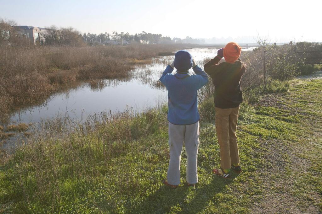 Young birders looking for birds during the 6th annual Christmas Bird Count for Kids at Shollenberger Park and Ellis Creek Water Recycling Facility in Petaluma on Friday, January 2, 2015. (SCOTT MANCHESTER/ARGUS-COURIER STAFF)