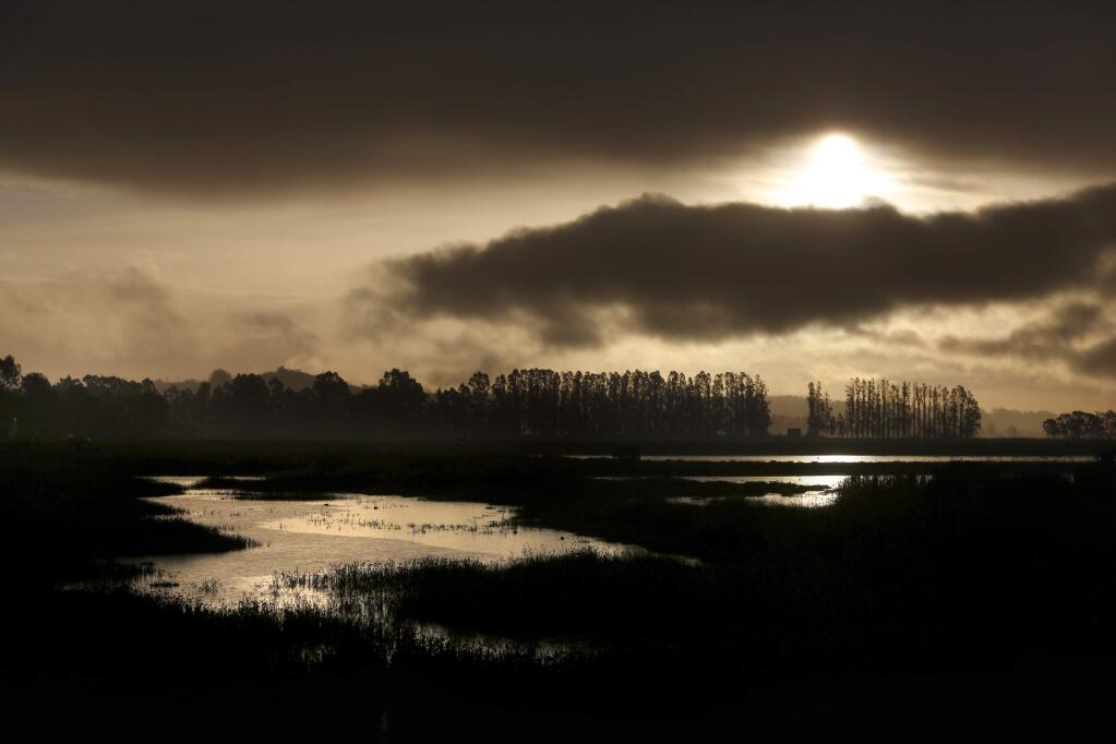The sun rises behind clouds during a rain shower at Shollenberger Park on Monday, January 2, 2017 in Petaluma, California . (BETH SCHLANKER/The Press Democrat)