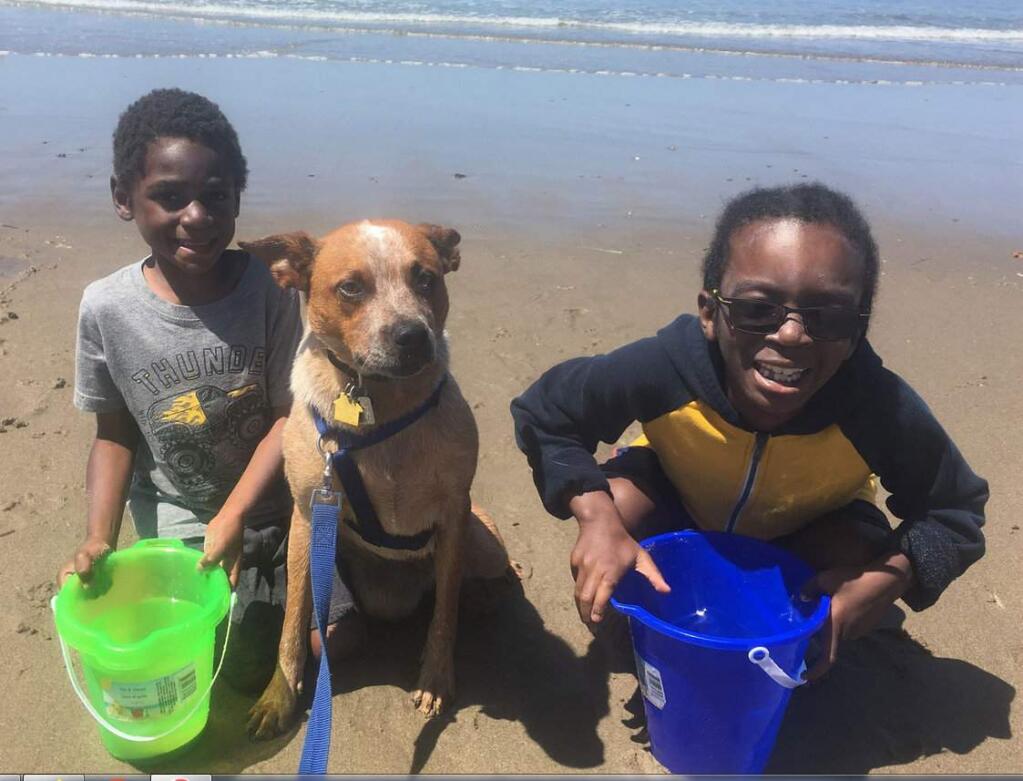Ezra, left, and Hudson Hoyt play at the beach in 2018. Hudson was caught in a 12-hour flight delay with American Airlines, according to his mother, Kristie Hoyt. Hudson and the other children he was flying with did not receive meals, and their parents were not contacted by the airline, the mother says. (KRISTIE HOYT)