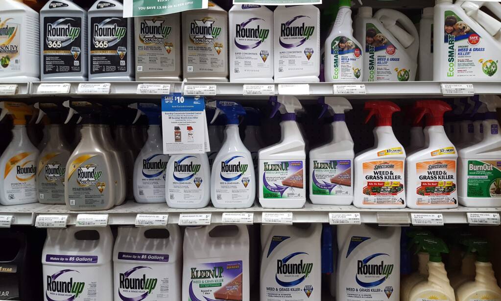 Display of RoundUp, a glyphosate weed killer compound heavily marketed and widely sold around the world. This display is at Friedmans' Sonoma store.