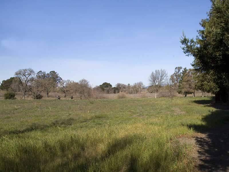 Land in west Petaluma where the proposed Sid Commons housing development is to be built.