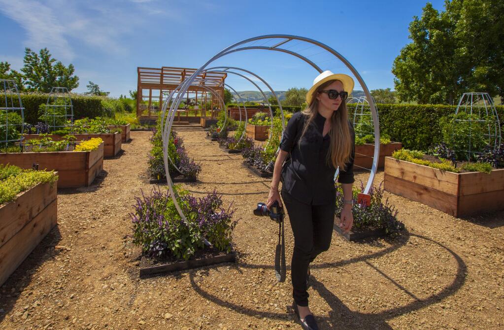 Sunset will unveil their new test gardens at Cornerstone in Sonoma for a Celebration Weekend on May 14 and 15. (Photos by Robbi Pengelly/Index-Tribune)