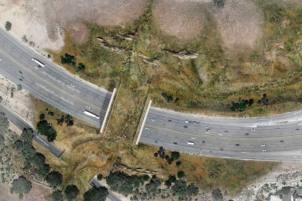 This undated illustration provided by the National Wildlife Federation shows a rendering of a wildlife bridge crossing over U.S. Highway 101 between two separate open space preserves on conservancy lands in the Santa Monica Mountains in Agoura Hills, Calif. Groundbreaking is set for next month on what will be the world's largest wildlife crossing, a bridge over a major Southern California highway that will provide more room to roam for mountain lions and other animals hemmed in by urban sprawl. A ceremony marking the start of construction for the span over U.S. 101 near Los Angeles will take place on Earth Day, April 22, the National Wildlife Federation announced on Thursday, March 24, 2022. (National Wildlife Federation via AP)