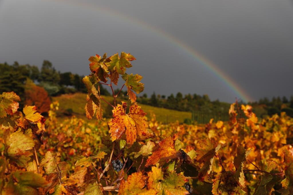 A rainbow appears off Dry Creek Rd in Healdsburg during rain showers on Monday, Nov. 7, 2022. (Beth Schlanker / The Press Democrat)