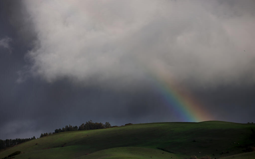 Coastal hills are turning emerald green as nearly continuous rain showers have dotted Sonoma County, Saturday, Dec. 25, 2021 in Valley Ford.  (Kent Porter / The Press Democrat) 2021