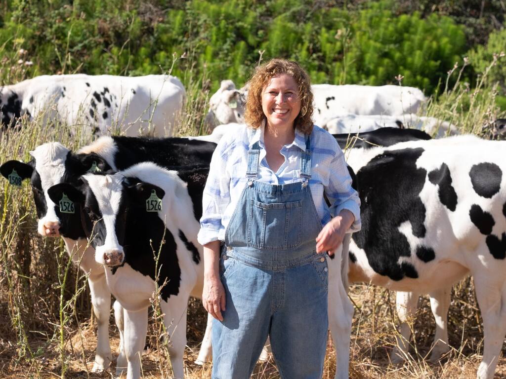 Vivien Straus, playwright and performer, with some of her family’s Holstein cows. (Courtesy of Vivien Straus)