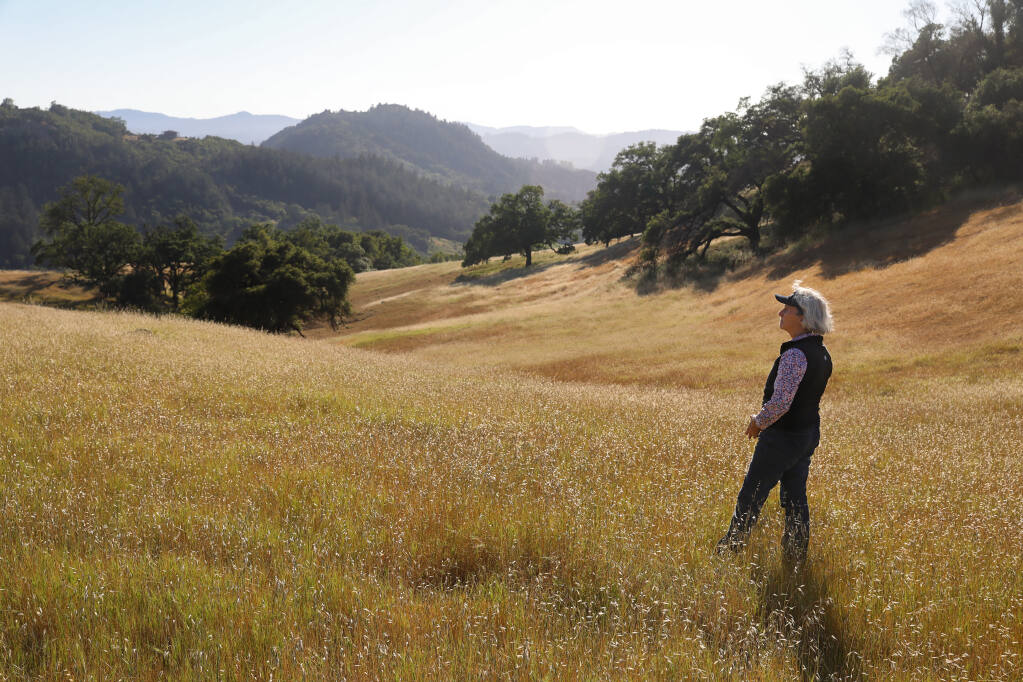 Christine Foppiano Haun looks out at the Walter and Jean Foppiano Ranch property owned by her and her sister, Ruth Ann Foppiano, near Healdsburg on Wednesday, May 12, 2021.  Sonoma Land Trust closed escrow on a conservation easement protecting the 758-acre property.  (Christopher Chung/ The Press Democrat)