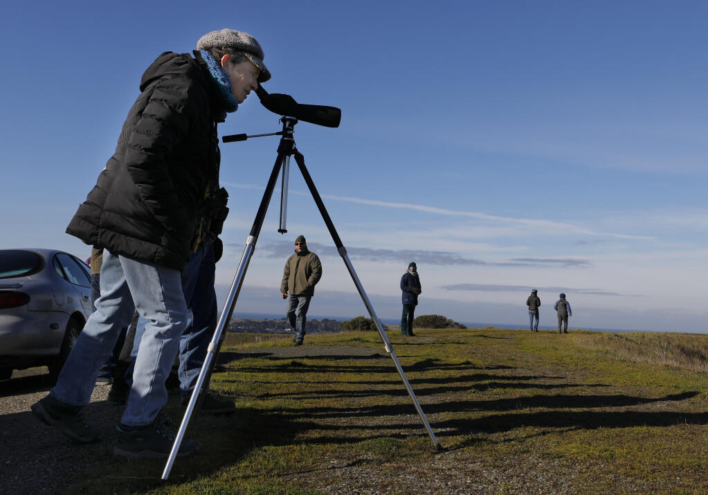 Marta Anatra looks through a spotting scope during the Western Sonoma County Christmas Bird Count in Bodega Bay, California, on Sunday, Jan. 2, 2022.(Beth Schlanker/The Press Democrat)