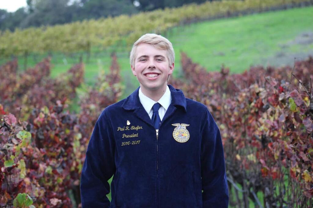 Senior Paul Shafer is president of the Sonoma Valley High School FFA chapter.