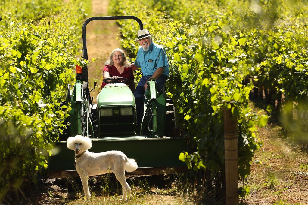 Bob Iantosca, winemaker at Gloria Ferrer and his wife, Julia Iantosca winemaker for the Lasseter Family Winery in their pinot noir vineyard in Bennett Valley. (JOHN BURGESS/ PD)